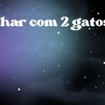 Sonhar com 2 gatos