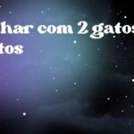 Sonhar com 2 gatos pretos
