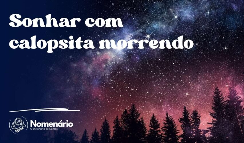 Sonhar com calopsita morrendo
