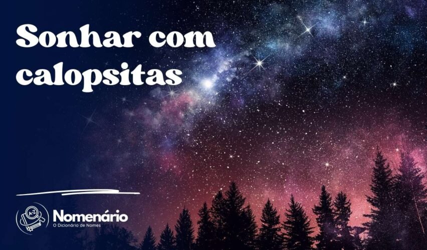 Sonhar com calopsitas