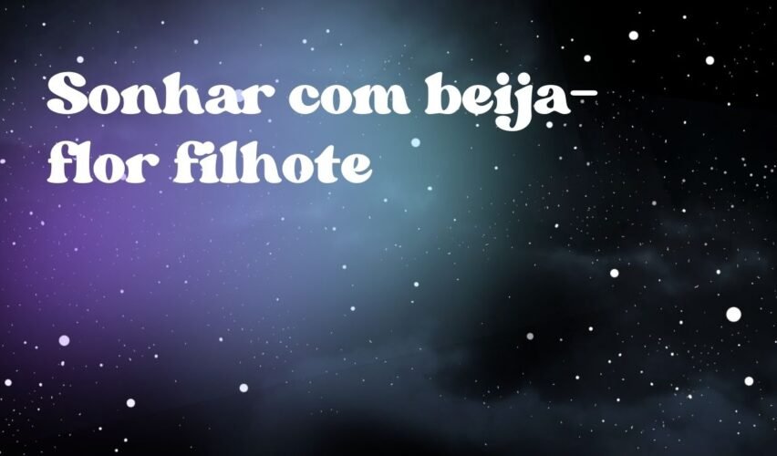 Sonhar com beija-flor filhote