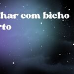 Sonhar com bicho morto