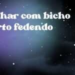 Sonhar com bicho morto fedendo