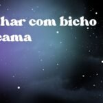 Sonhar com bicho na cama