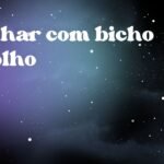 Sonhar com bicho no olho