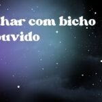 Sonhar com bicho no ouvido