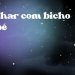 Sonhar com bicho no pé