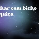 Sonhar com bicho preguiça