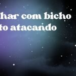 Sonhar com bicho preto atacando