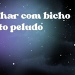 Sonhar com bicho preto peludo