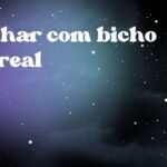 Sonhar com bicho surreal