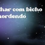 Sonhar com bicho te mordendo