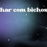 Sonhar com bichos