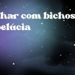 Sonhar com bichos de pelúcia