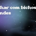 Sonhar com bichos grandes