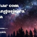 Sonhar com caranguejeira preta