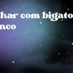 Sonhar com bigato branco