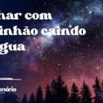 Sonhar com caminhão caindo na água