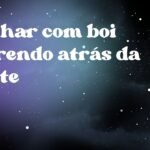 Sonhar com boi correndo atrás da gente