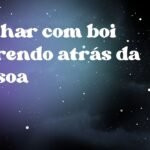 Sonhar com boi correndo atrás da pessoa