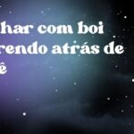 Sonhar com boi correndo atrás de você