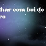 Sonhar com boi de carro