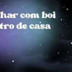 Sonhar com boi dentro de casa