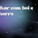 Sonhar com boi e cachorro