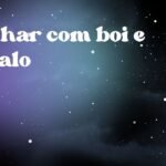 Sonhar com boi e cavalo