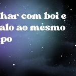 Sonhar com boi e cavalo ao mesmo tempo