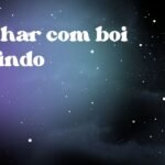 Sonhar com boi fugindo