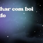 Sonhar com boi gordo