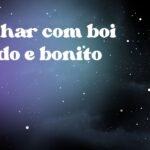Sonhar com boi gordo e bonito