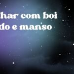 Sonhar com boi gordo e manso