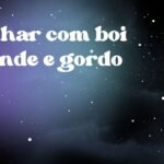 Sonhar com boi grande e gordo