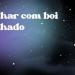 Sonhar com boi malhado