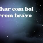 Sonhar com boi marrom bravo