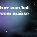 Sonhar com boi marrom manso