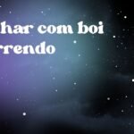 Sonhar com boi morrendo