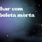 Sonhar com borboleta morta