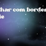 Sonhar com border collie