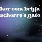 Sonhar com briga de cachorro e gato