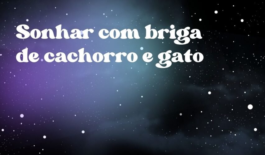 Sonhar com briga de cachorro e gato