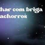 Sonhar com briga de cachorros