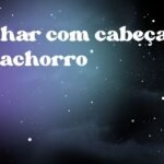 Sonhar com cabeça de cachorro