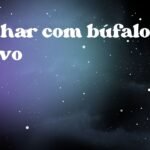 Sonhar com búfalo bravo