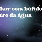 Sonhar com búfalo dentro da água