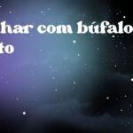 Sonhar com búfalo preto