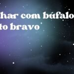 Sonhar com búfalo preto bravo
