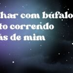 Sonhar com búfalo preto correndo atrás de mim